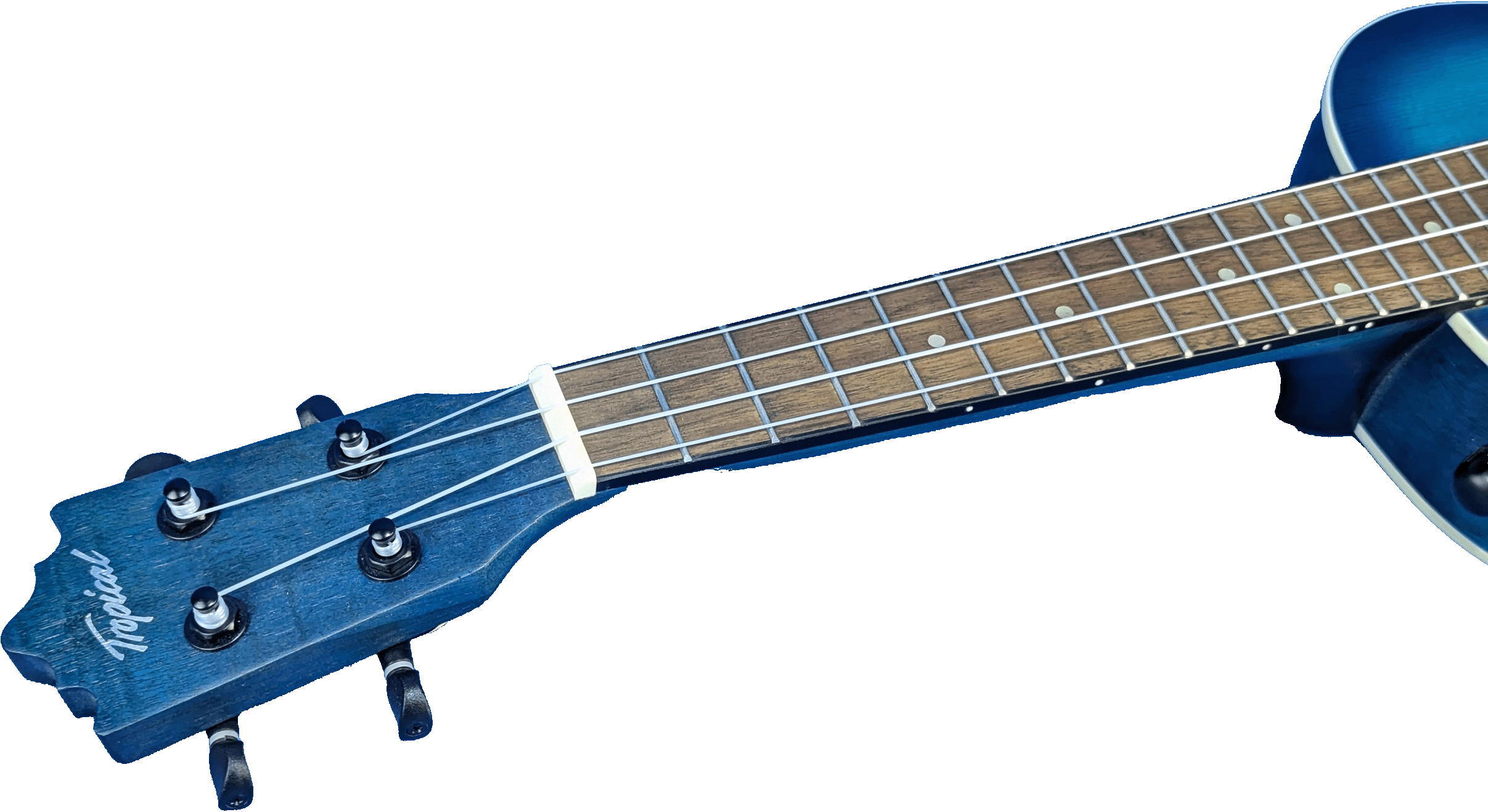 Ukelele Concert 24” Tropical Natural con Diseño Floral