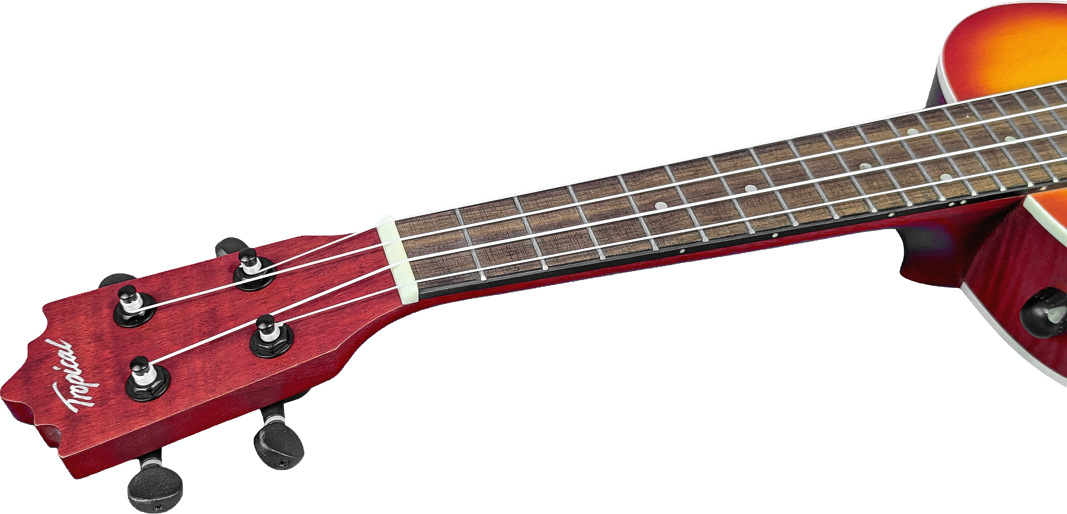 Ukelele Concert 24” Tropical Natural con Diseño Floral